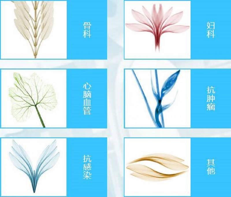 征途国际官网-钻营健全,你我一路成长