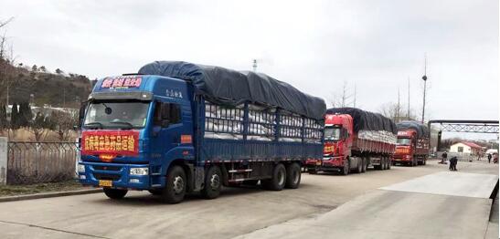 征途国际官网-钻营健全,你我一路成长